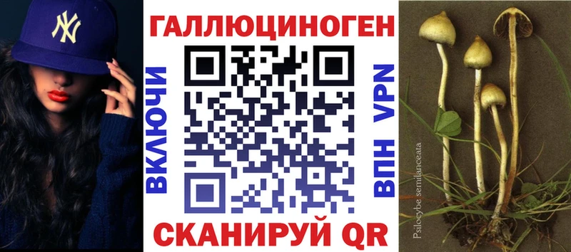 сайты даркнета состав  Клинцы  Псилоцибиновые грибы Magic Shrooms 